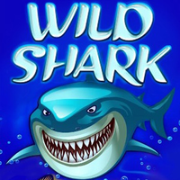 Wild Shark
