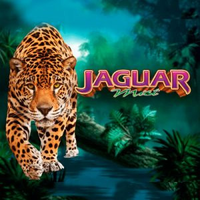 Jaguar Mist