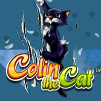 Colin the Cat
