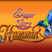 Sugar N Spice Hummin