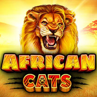 African Cats