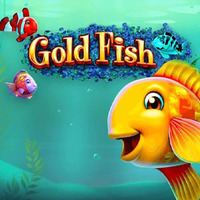 Gold Fish