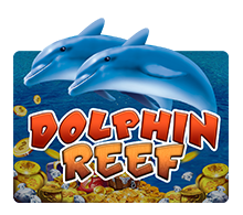 DolphinReef