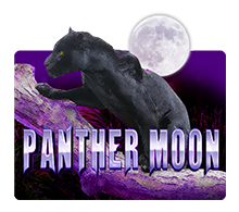 PantherMoon