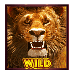 Wild Symbol of Hot Safari Slot