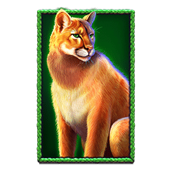 Icon 3 Buffalo King Megaways