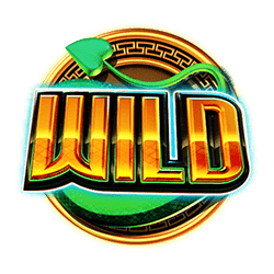 Wild Symbol of Year of the Dragon King Slot